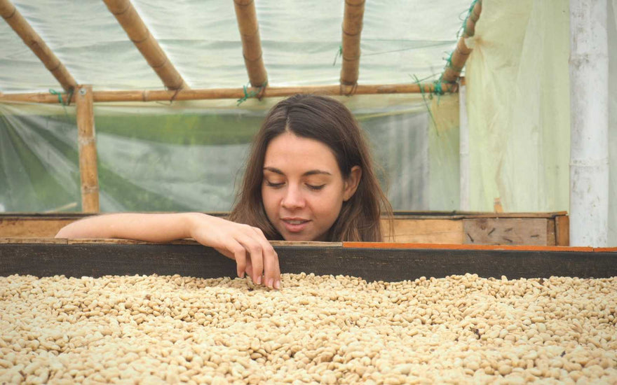 Where to find Specialty Coffee in Colombia