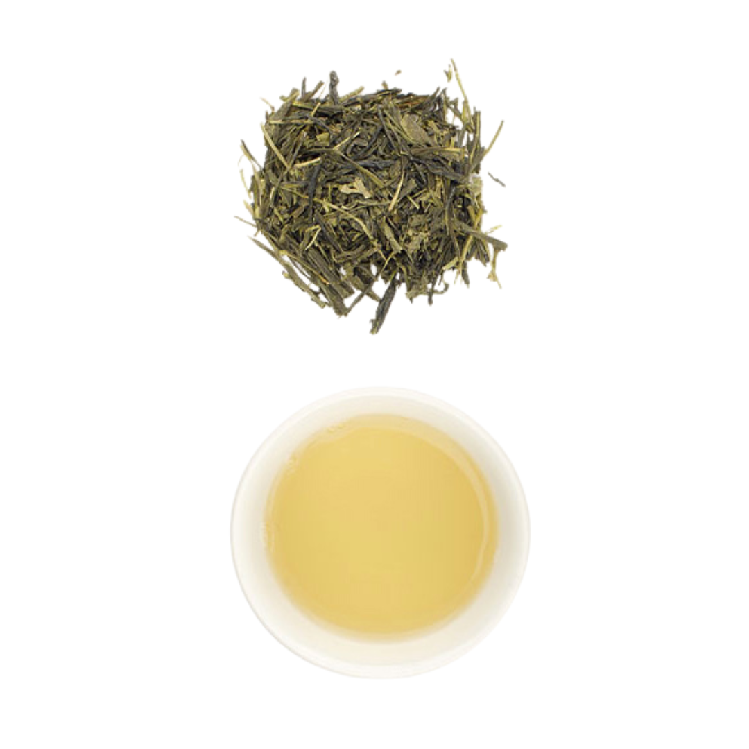 Green Sencha Organic Tea